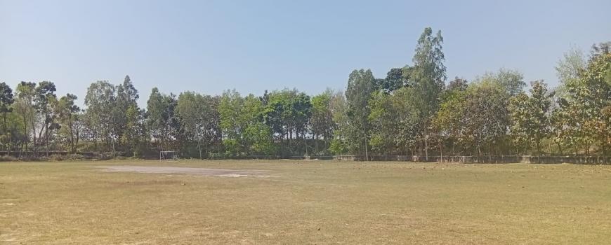  दोस्रो मेयर कप अन्तर पालिका टी २० क्रिकेट प्रतियोगिताको तयारी सुरु