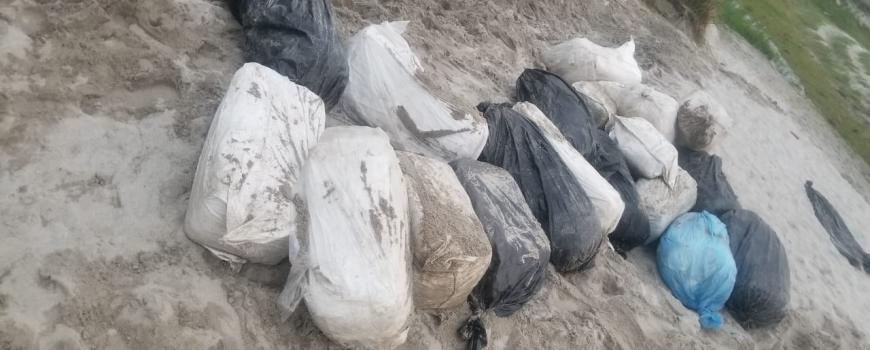 बालुवामुनि लुकाई राखेको ११ सय २० किलो गाँजा बरामद 