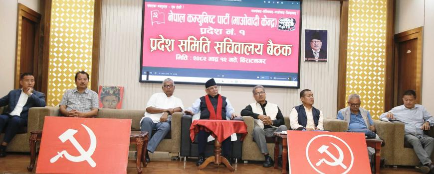 जनार्दन शर्मा पार्टी भित्रको ‘स्वार्थ समूह’, समिक्षा हुन्छ : प्रचण्ड 