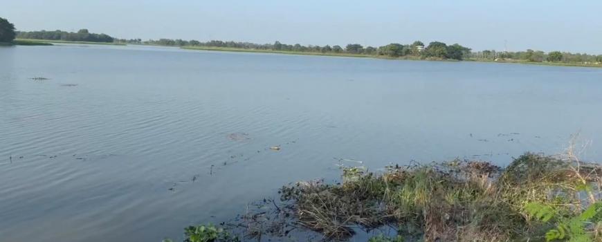 संरक्षणको अभावमा कुरूप बन्दै बर्जू ताल 