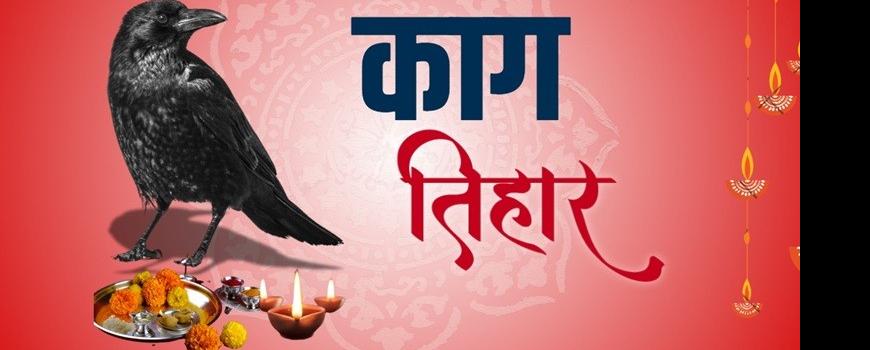 आज काग तिहार यमराजका दूत कागलाई पूजा गरी मनाइँदै