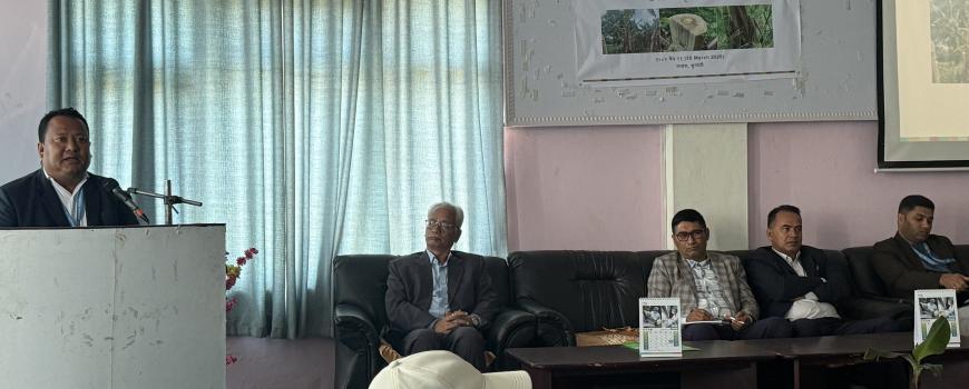 केरा खेतीमा नया रोग ‘टीआर–४’ को त्रासः सतर्कता अपनाउन बिज्ञको सुझाव