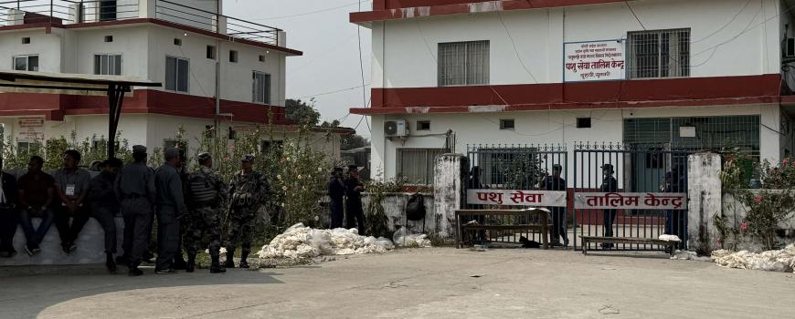 सुनसरी ३ : अशोक चौधरी २६७, भगवती ११० मत 