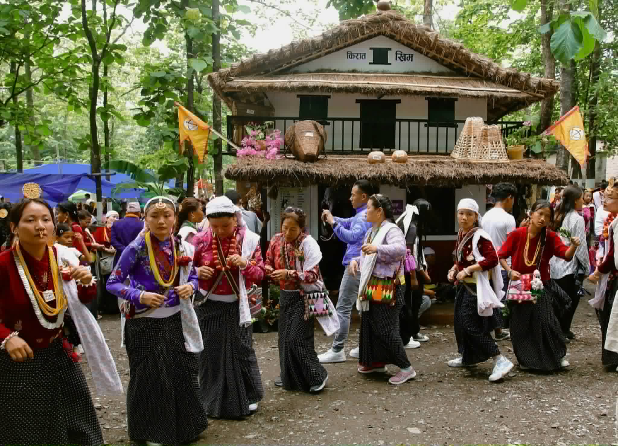 sakela (3)