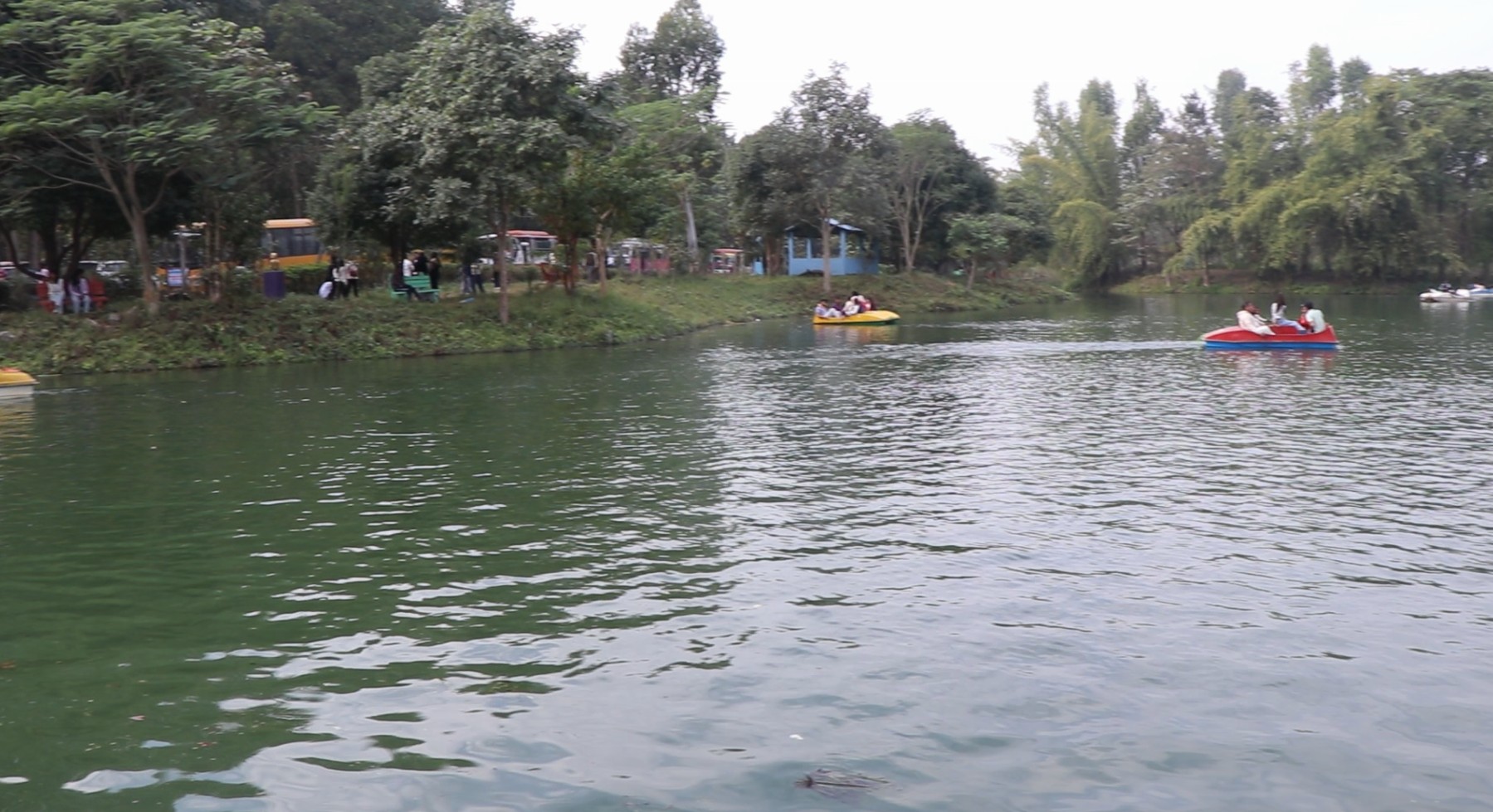 taltalaiya pic2