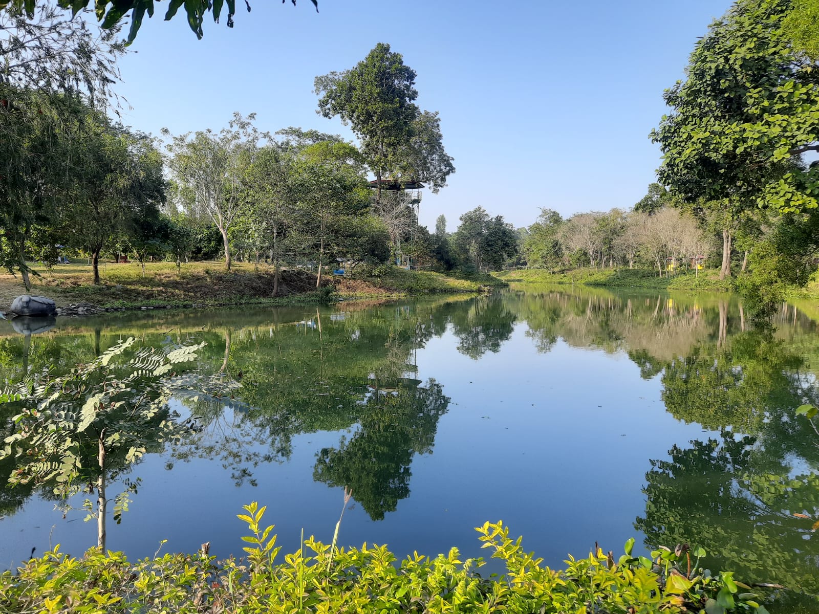 taltalaiya