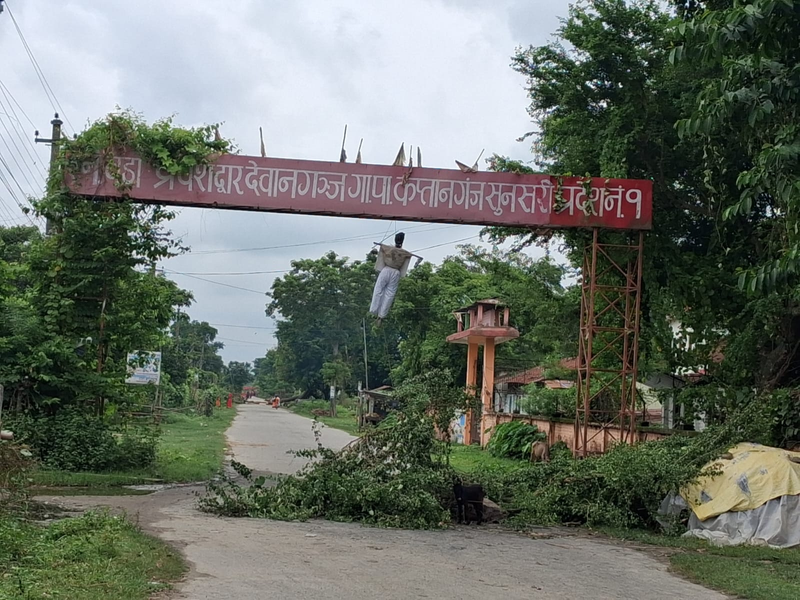 kaptanjung 1