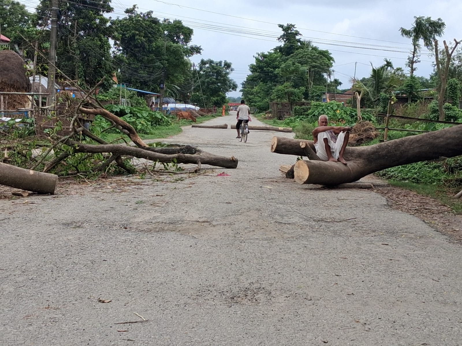 kaptanjung 4