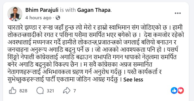 bhim parajuli